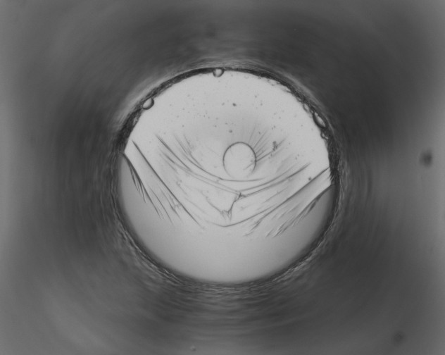 X0000115681215200912241433
