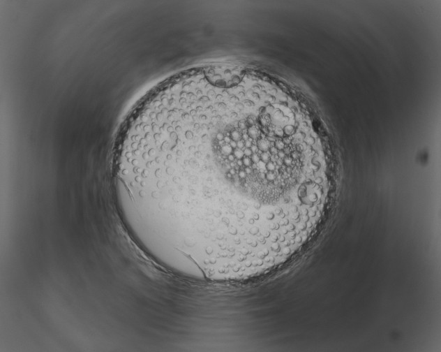 X0000115681216200912241433
