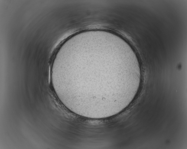 X0000115681219200912241433