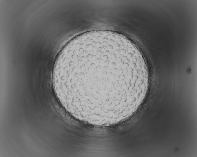 X0000115681220200912241433