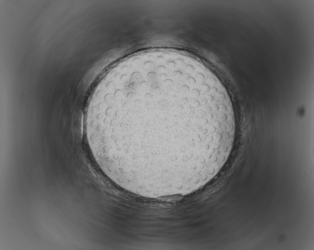 X0000115681221200912241434