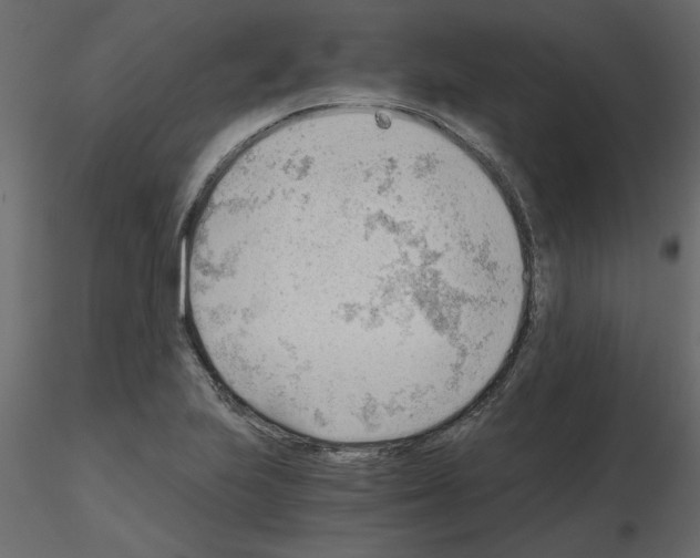 X0000115681223200912241434