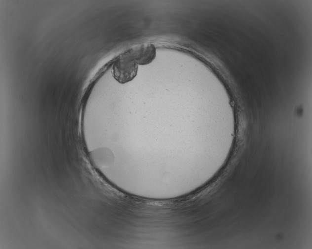 X0000115681224200912241434