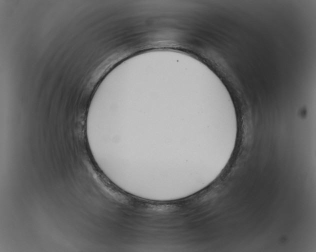 X0000115681225200912241434