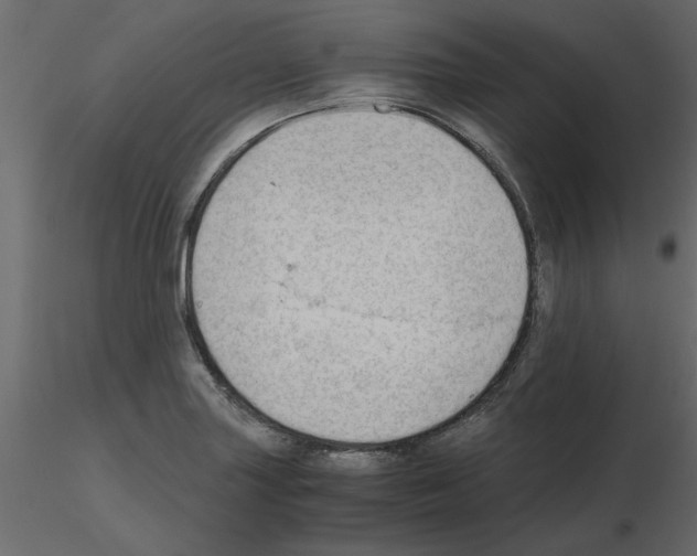 X0000115681227200912241434