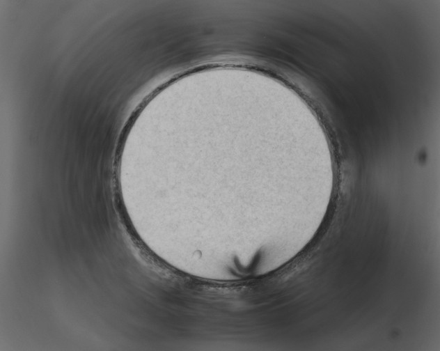 X0000115681229200912241434