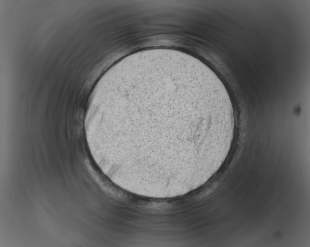 X0000115681233200912241434