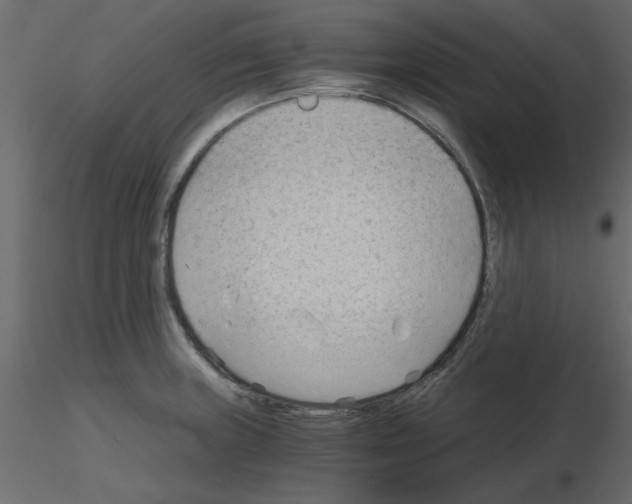 X0000115681235200912241434