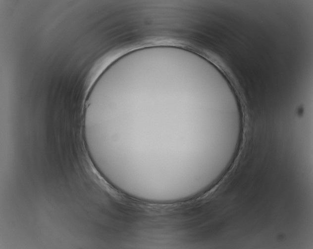 X0000115681236200912241434