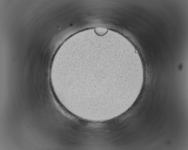 X0000115681237200912241434