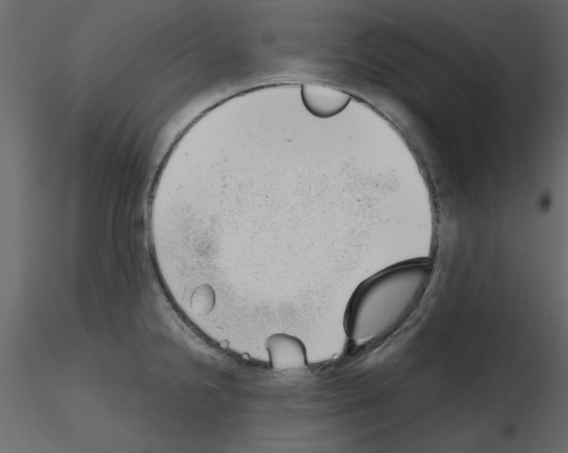 X0000115681238200912241434