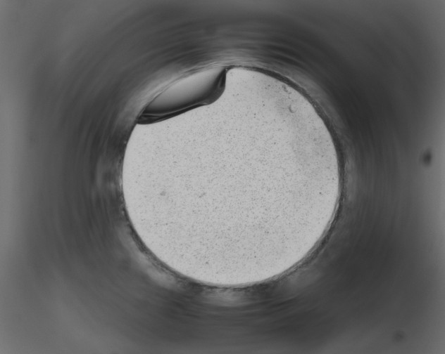 X0000115681241200912241434