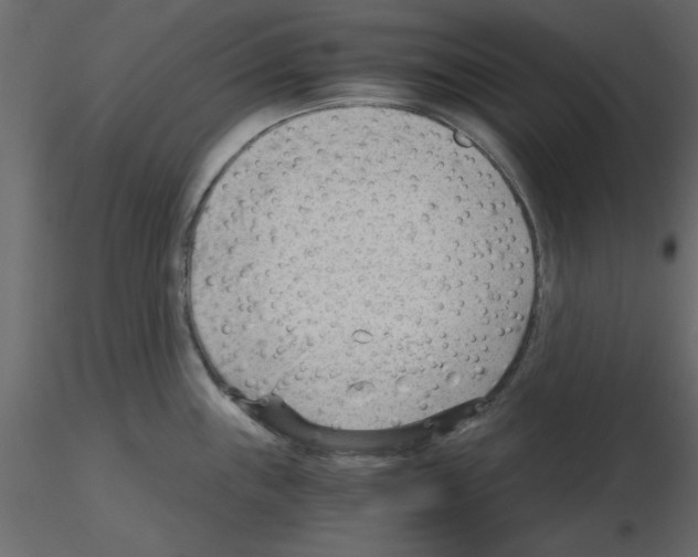 X0000115681243200912241434