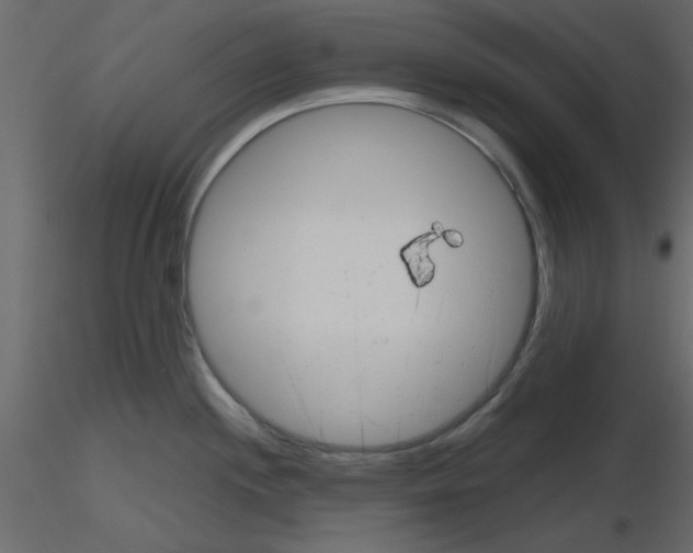 X0000115681244200912241434