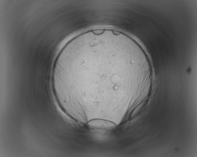 X0000115681245200912241434