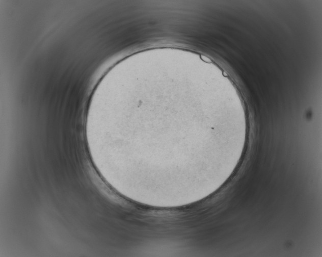X0000115681246200912241434