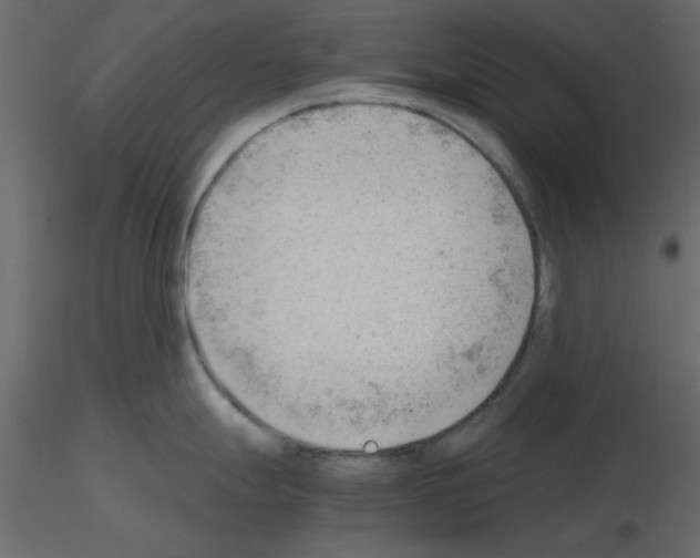 X0000115681247200912241434