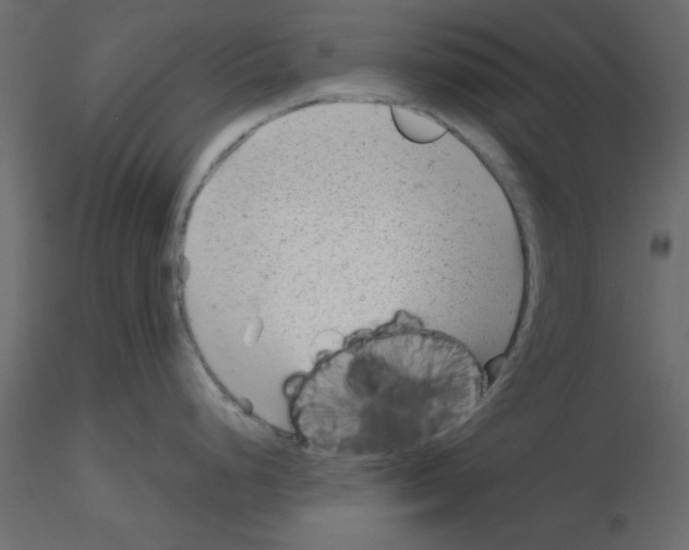 X0000115681248200912241434