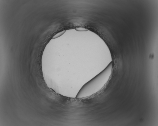 X0000115681249200912241433