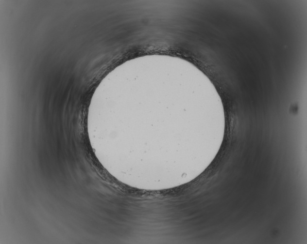 X0000115681250200912241433