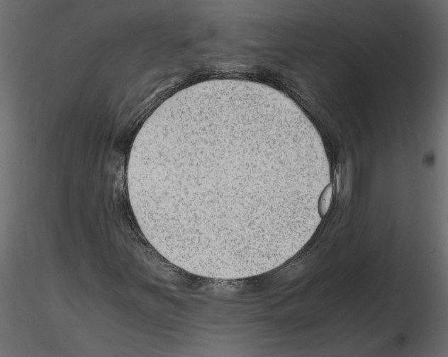 X0000115681251200912241433