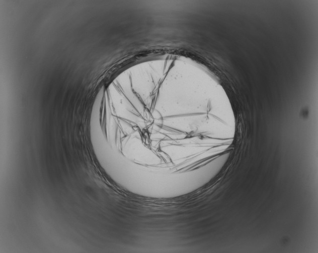 X0000115681252200912241433
