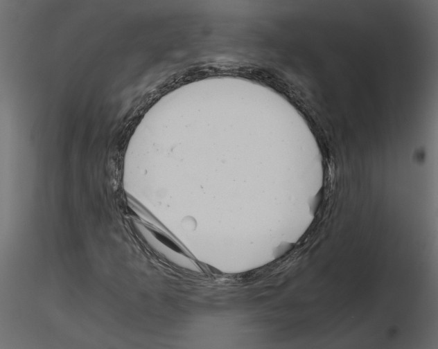 X0000115681253200912241433