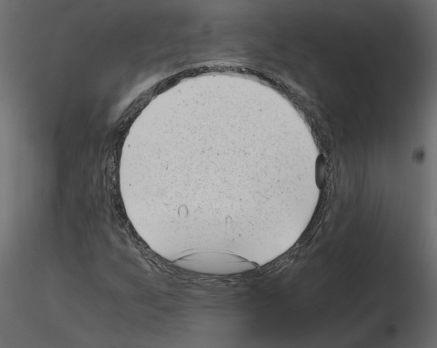 X0000115681255200912241433