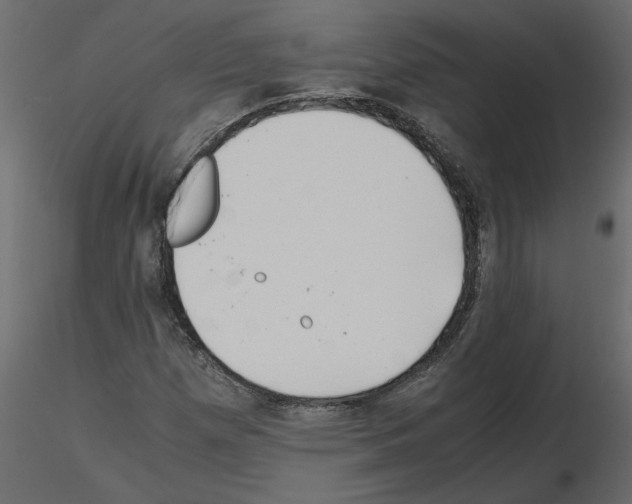X0000115681257200912241433