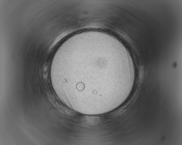 X0000115681258200912241433
