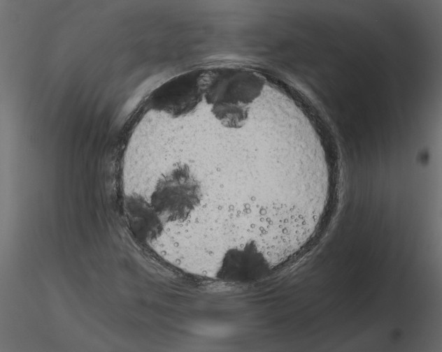 X0000115681259200912241433