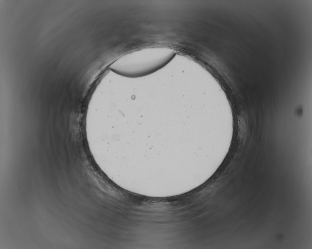 X0000115681260200912241433
