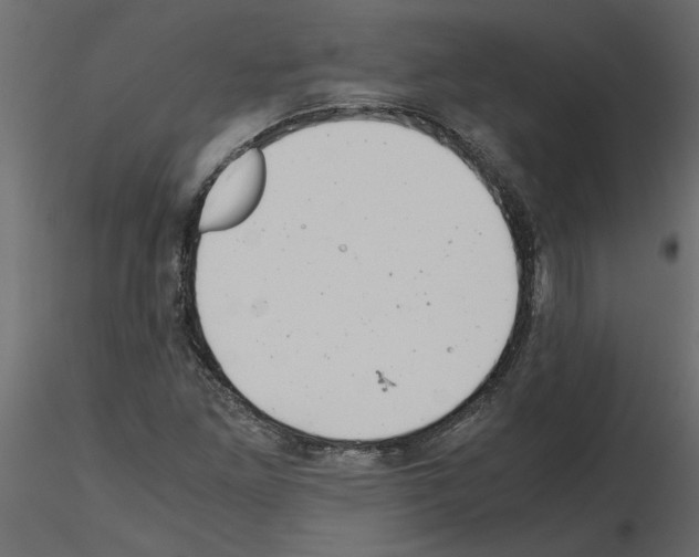 X0000115681261200912241433
