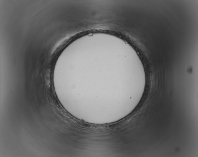 X0000115681262200912241433