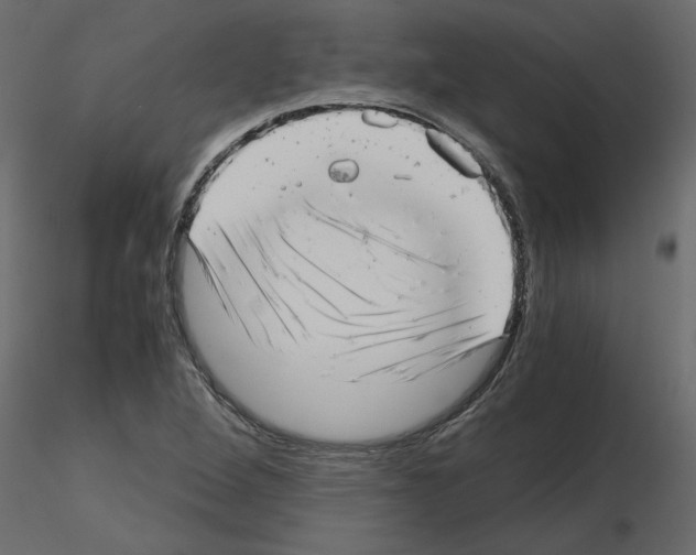 X0000115681264200912241433