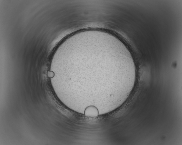 X0000115681266200912241433