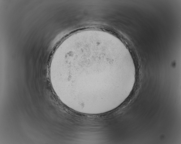 X0000115681267200912241433