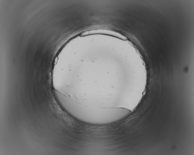X0000115681268200912241433
