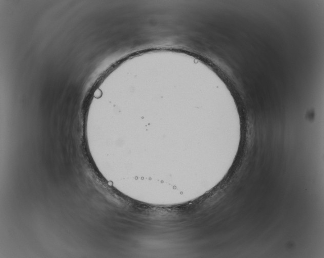 X0000115681270200912241433