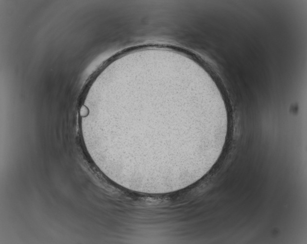 X0000115681271200912241433