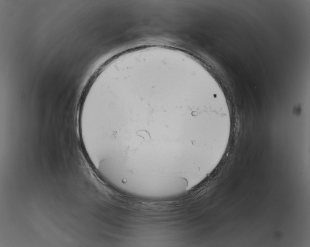 X0000115681272200912241433