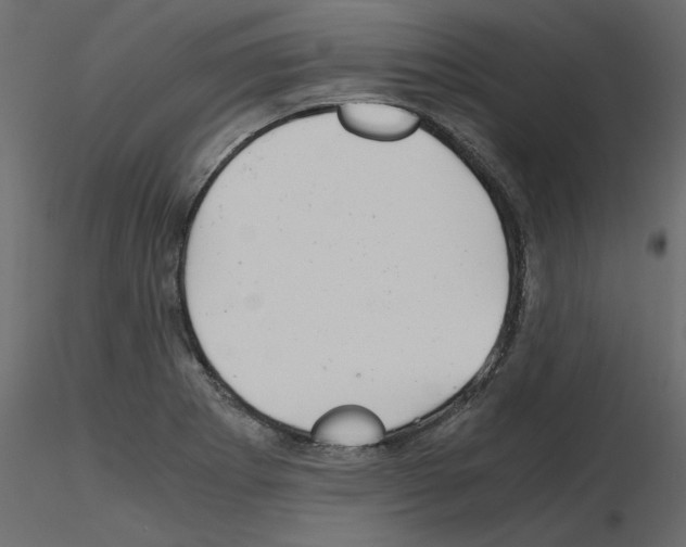 X0000115681273200912241433
