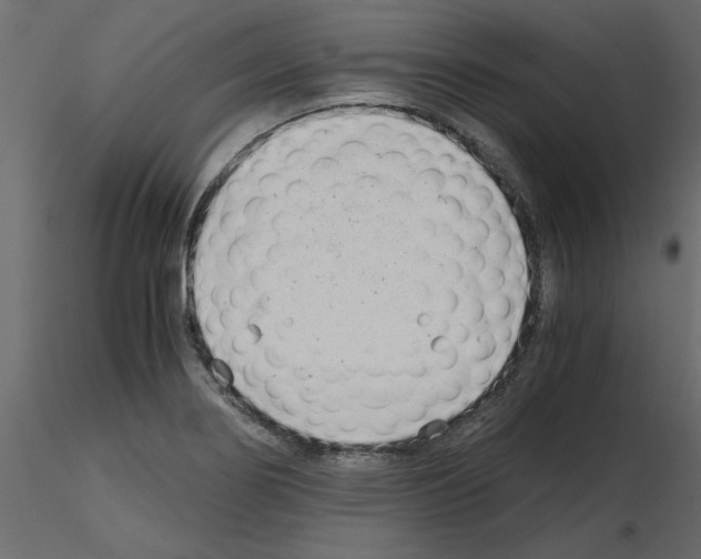 X0000115681274200912241433
