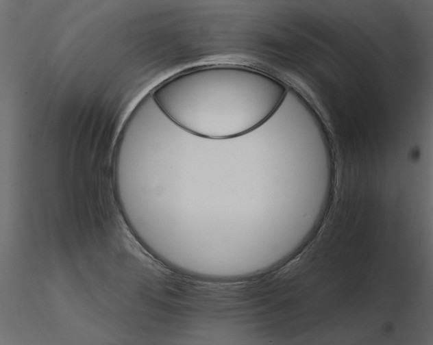 X0000115681276200912241433