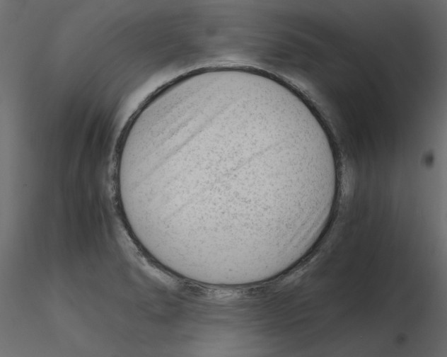 X0000115681278200912241433