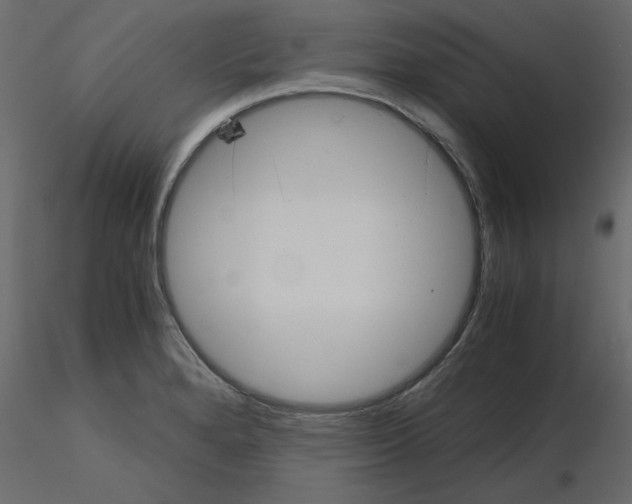 X0000115681280200912241433