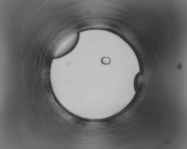 X0000115681281200912241433