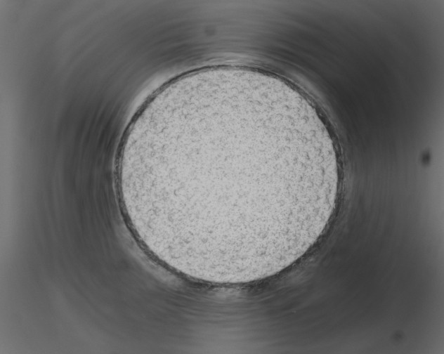X0000115681283200912241433