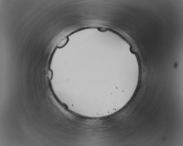 X0000115681285200912241433