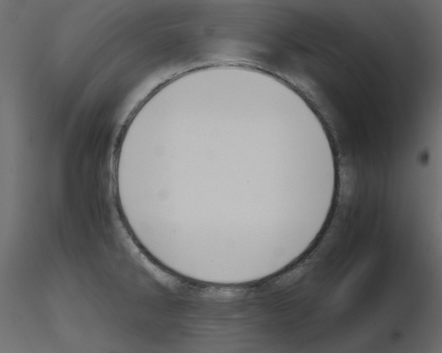 X0000115681286200912241433